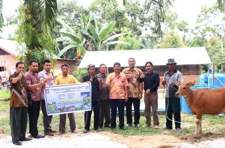 PTPN V Serahkan Bantuan 6 Ekor Sapi Kepada Kelompok Tani Berkah
